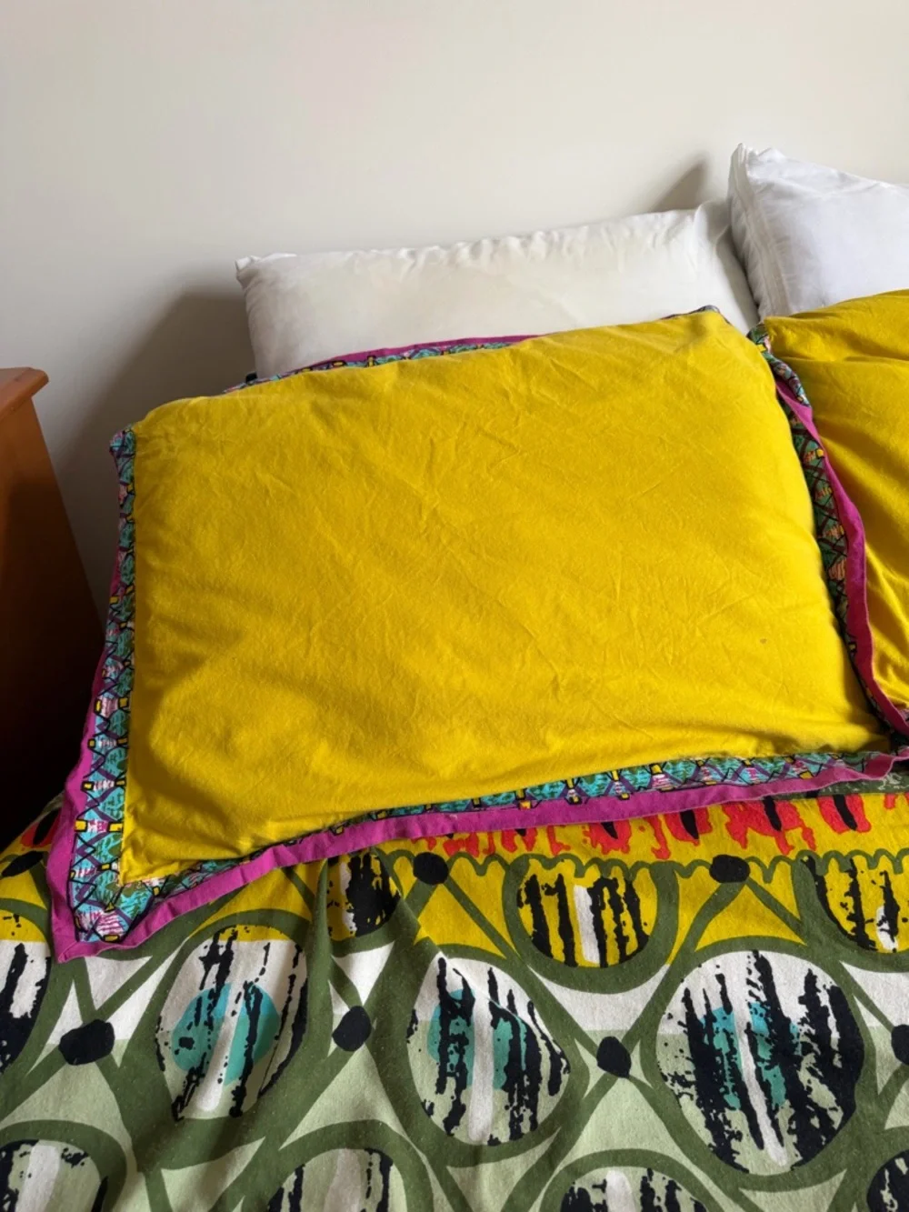 Pottery Barn Teen (PBTeen) Full-Size Duvet Cover and Pillow Shams
